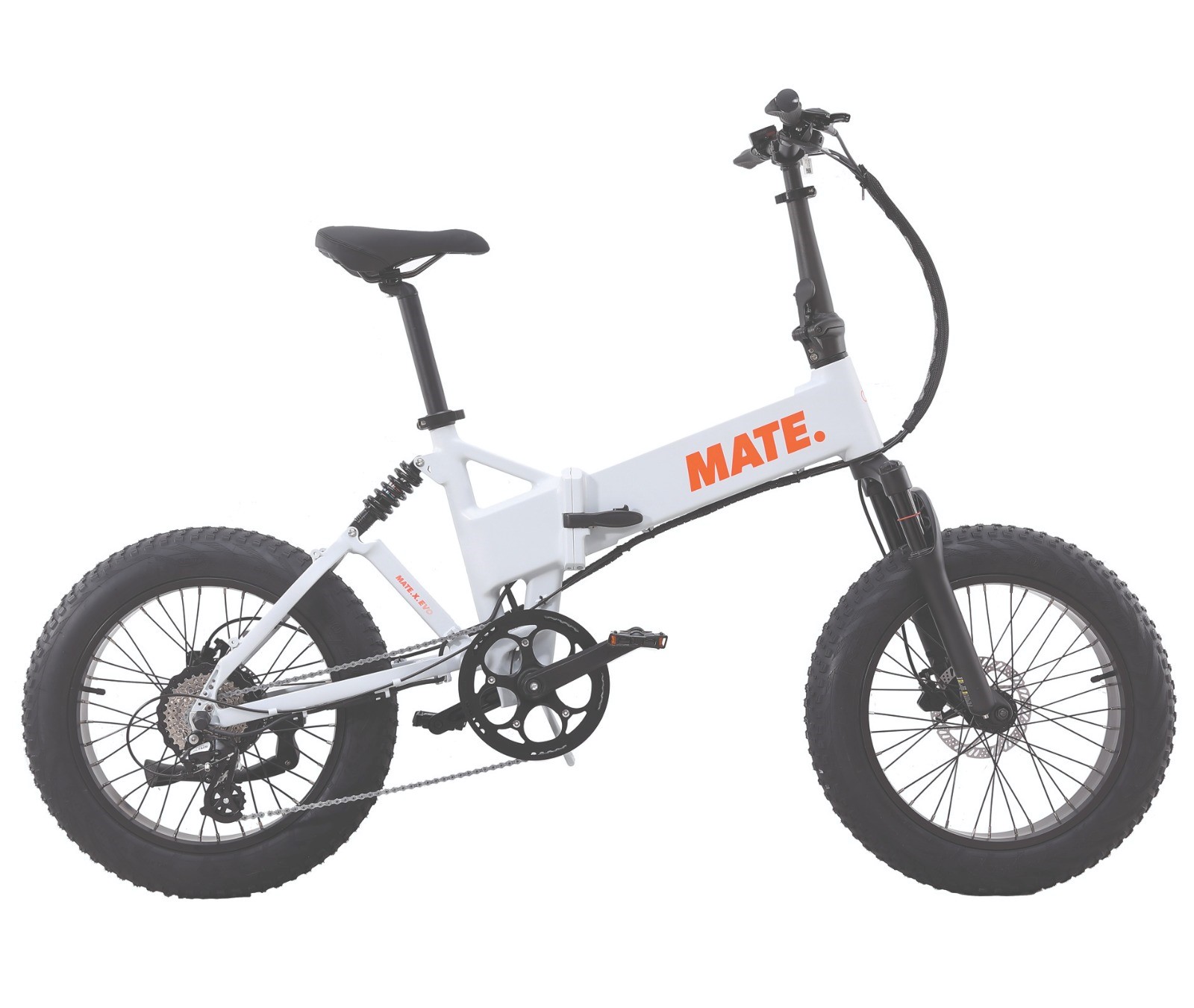 Picture of MATE X EVO