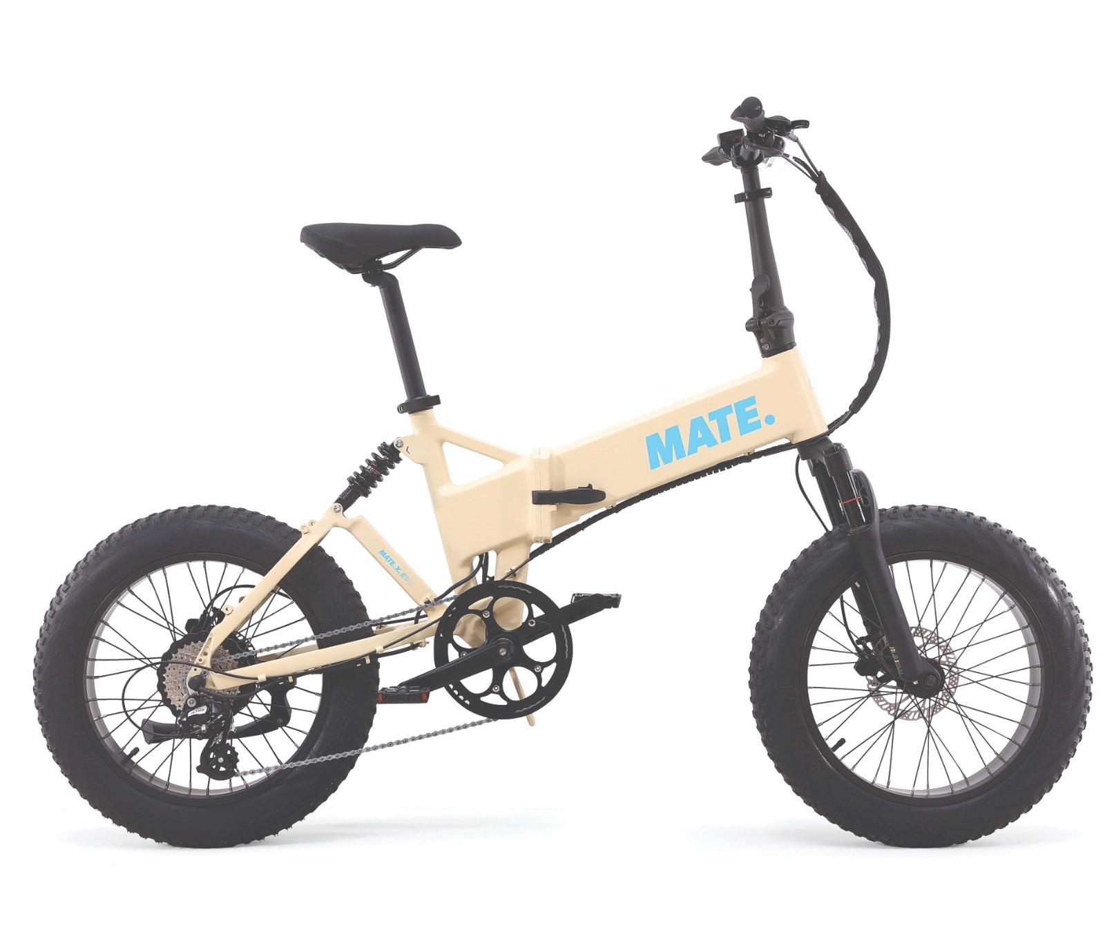 Picture of MATE X EVO