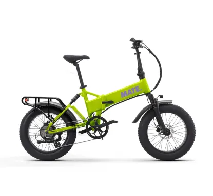 Picture of MATE X EVO