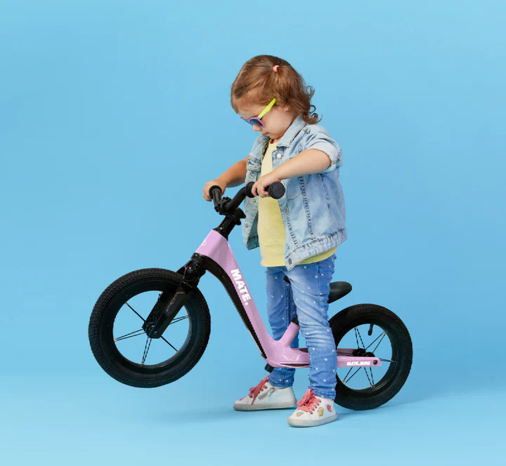 Picture of MATE MINI