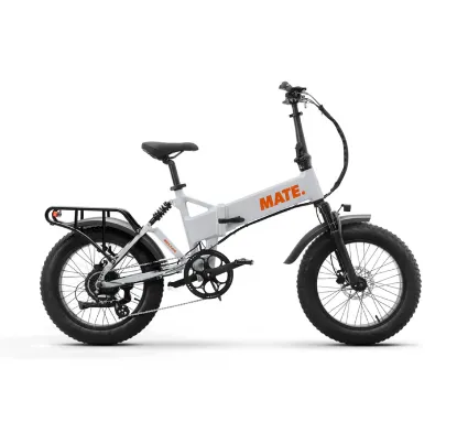 Picture of MATE X EVO