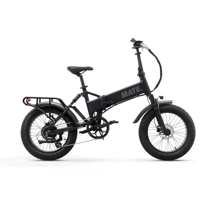 Picture of MATE X EVO