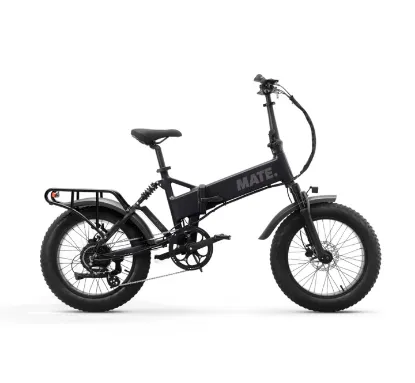 Picture of MATE X EVO